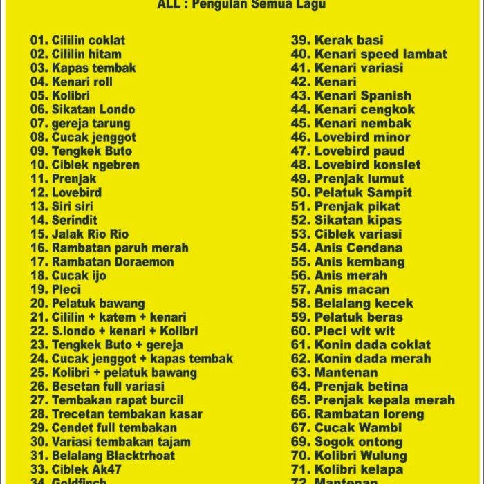 Sonic Bird Master Masteran Burung