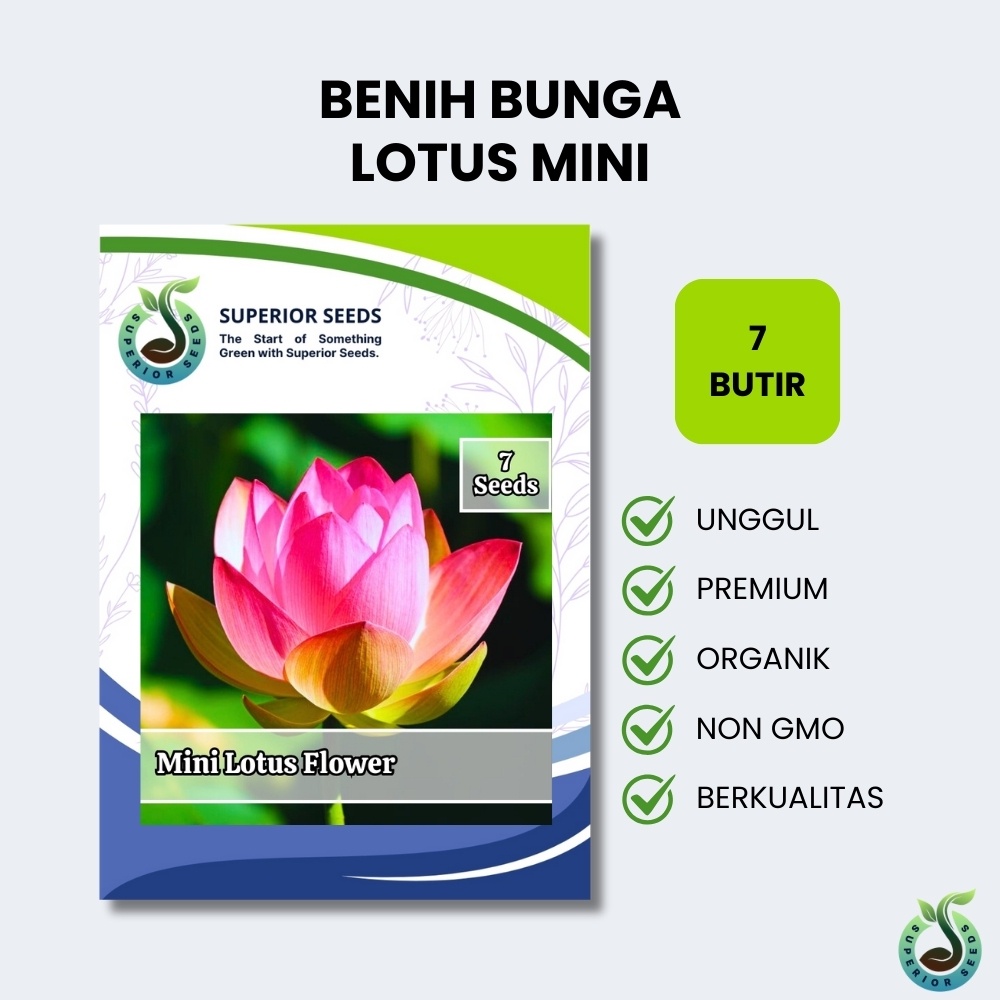 Biji Benih Bunga Teratai | Lotus Mini  (Superior Seeds)