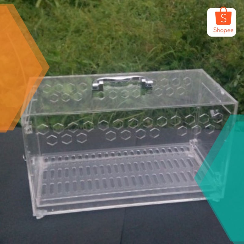 Promo Kandang burung Cockatiel Box Reptile Kandang Reptil Box Reptil Elegan