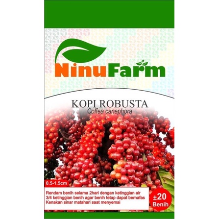 Bibit Buah Kopi Robusta - Ninufarm - 20 Butir PREMIUM