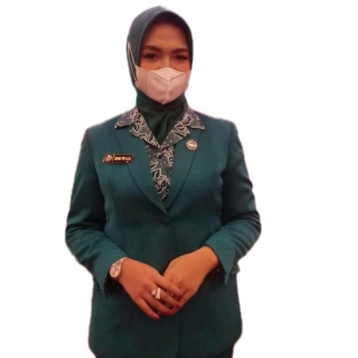 Stelan Blezer Seragam PKK Nasional Hijau Toska Size S-5L Blazer Wanita Setelan Kerja