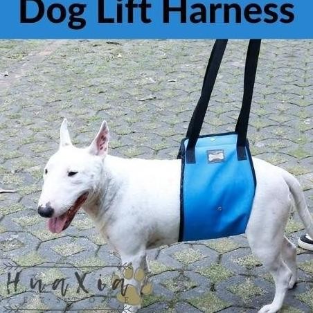 PROMO Dog Lift Harness /Alat bantu jalan Anjing / PET Medical