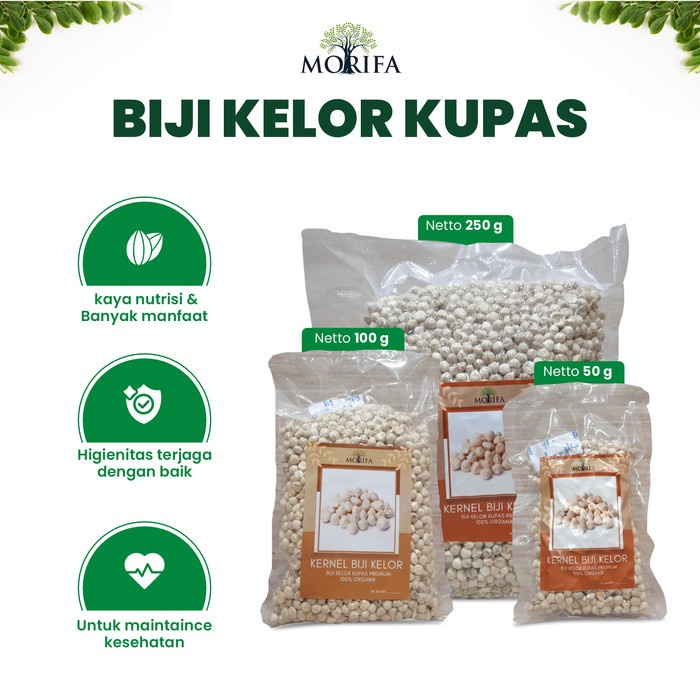 

Biji Kelor Kupas Moringa Obat Herbal Diabetes Jantung Hipertensi