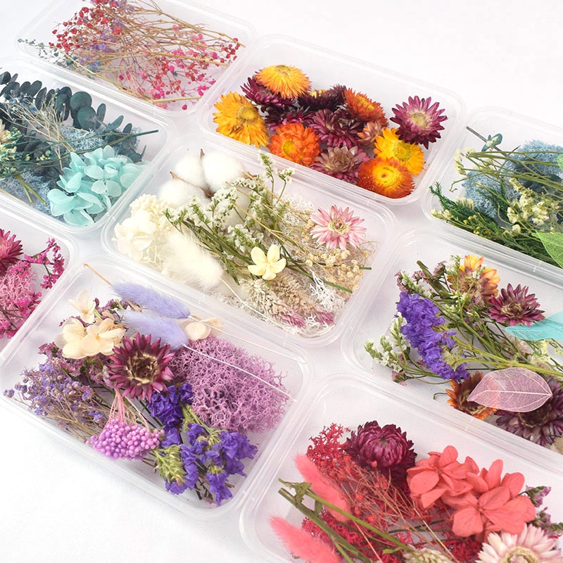Inmilcia Bunga Kering Natural Aromatherapy Real Dried Flower Resin Art - A015