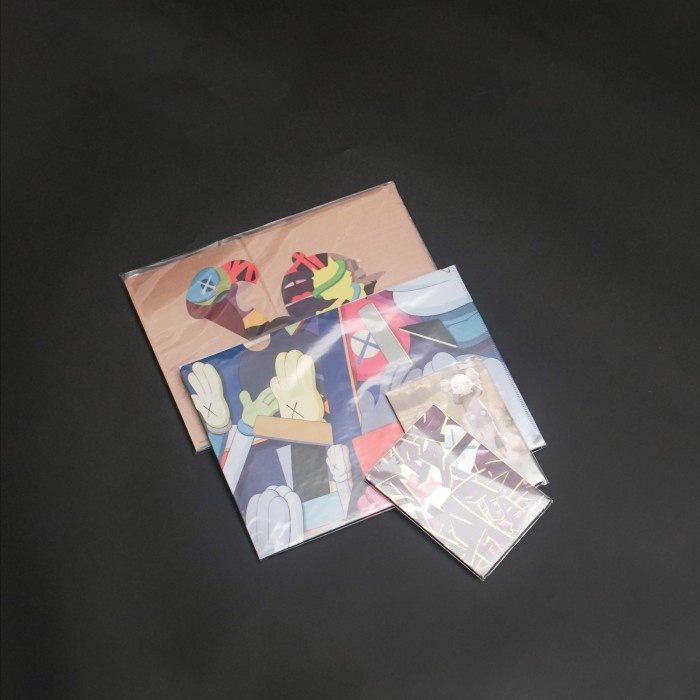 

TERBARU KAWS Tokyo First Clear File 100%Original