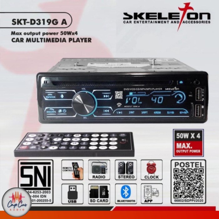 SINGLEDIN DVD SKELETON SKT-D319