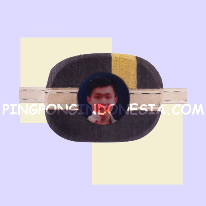 DHS HURRICANE King - Blade Kayu Pingpong Tenis Meja Bat Bet DHS King Wang Chuqin