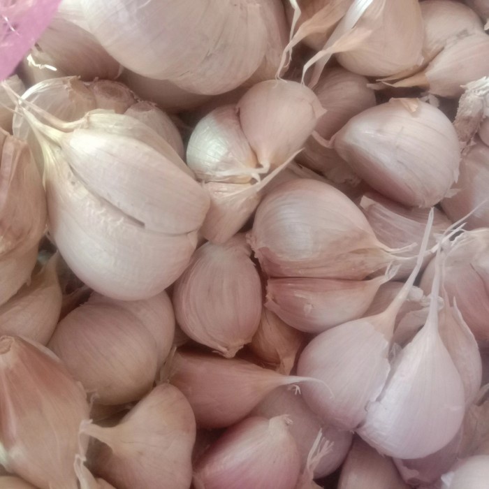 

Bawang Putih Kating Premium( Siung Besar ) Terlaris