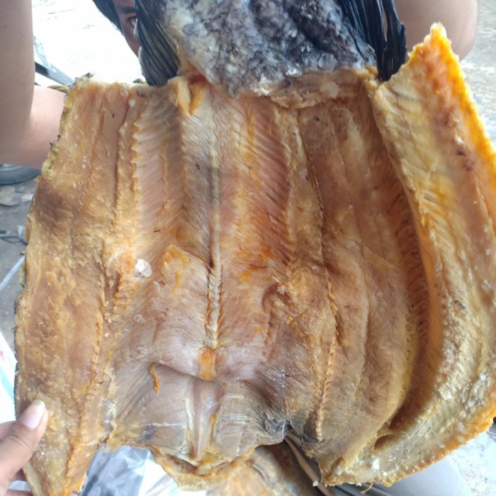 

BARANG TERLARIS ikan asin gabus jumbo per 1kg