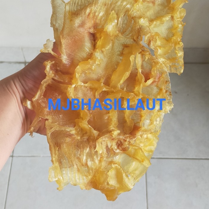 

Terlaris Gelembung Ikan, Perut Ikan, Lambung Ikan, Manyong, Yupio,Hupio,500Gram Ready