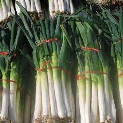 

Sale! Bawang Daun Segar 1Kg