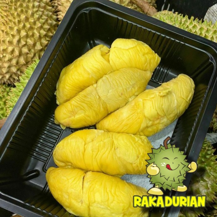 

Tersedia DURIAN / DUREN MUSANGKING ASLI MALAYSIA