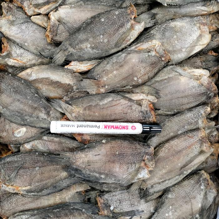 

SALE !!! IKAN ASIN SEPAT SIAM JUMBO KALIMANTAN KUALITAS SUPER SEAFOOD READYY