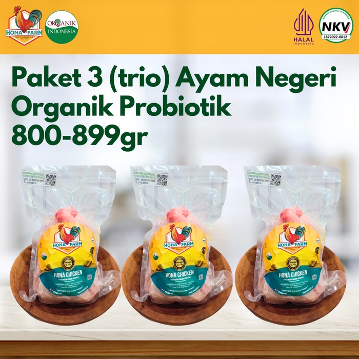 

SALE TERHOTT HONA FARM PAKET HEMAT 3 (TRIO) AYAM NEGERI ORGANIK PROBIOTIK (800-899GR) READYY