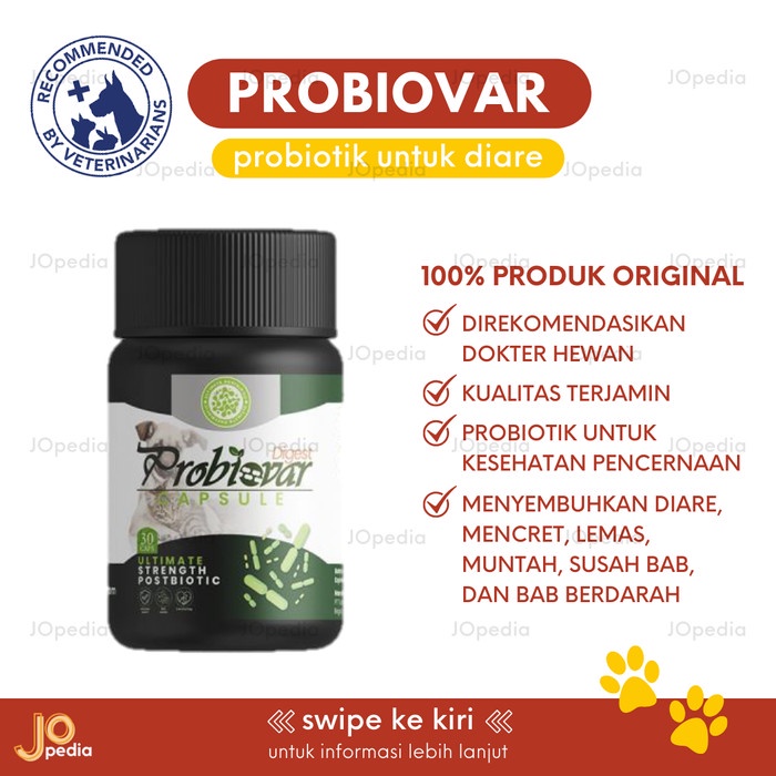 PROBIOVAR Probiotik Obat Diare Mencret Muntah Kucing Anjing Kelinci