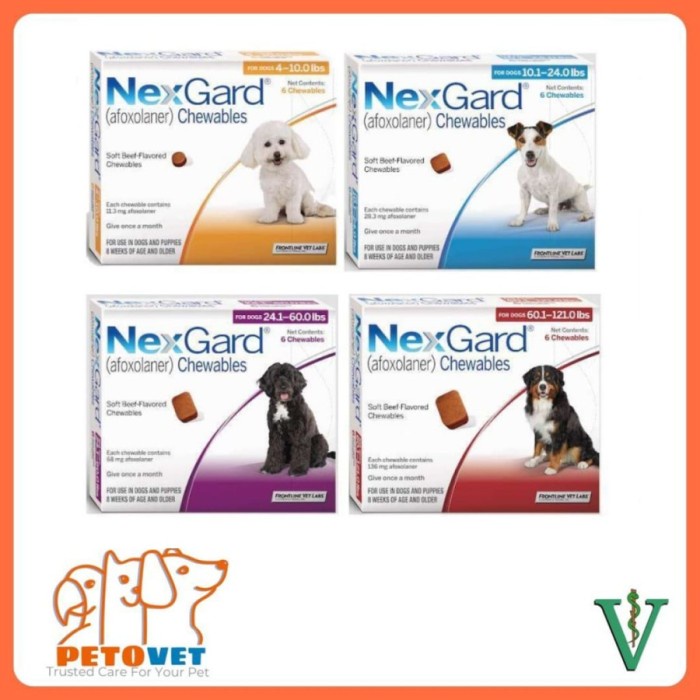 NEXGARD Obat kutu untuk anjing