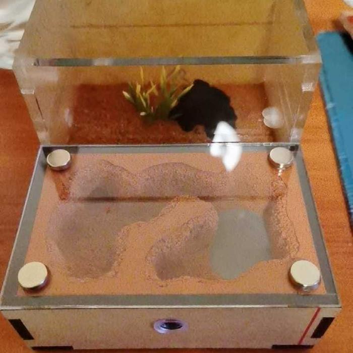 Produk Terbaru Formicarium Ecological Mini Datar Premium, Formicarium Akrilik, Formicarium Kaca,