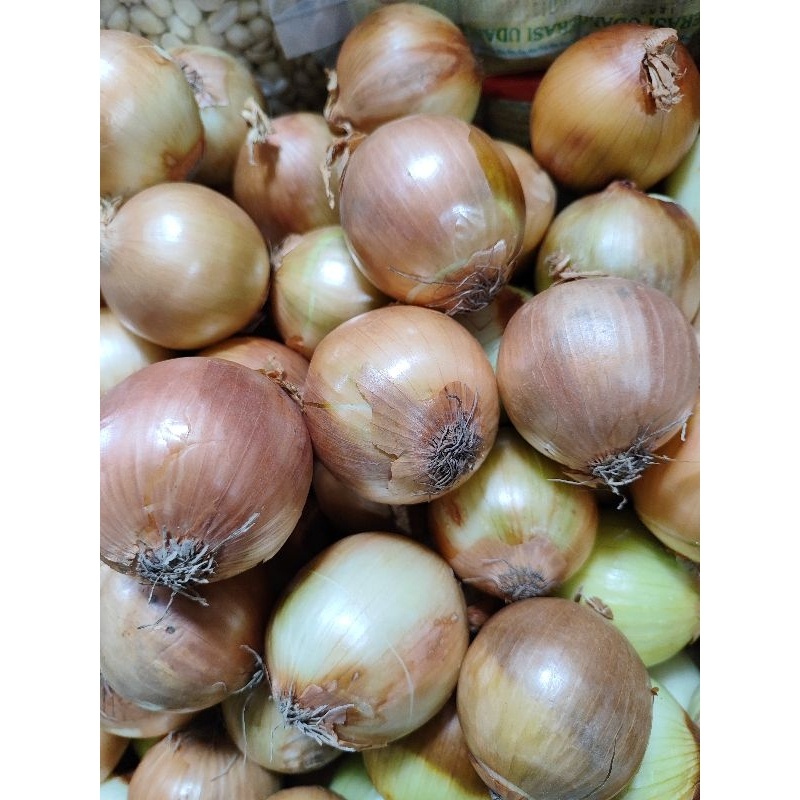 

Bawang bombay 1kg