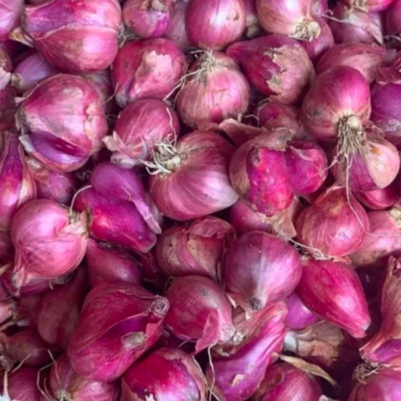 

bawang merah fress super termurah