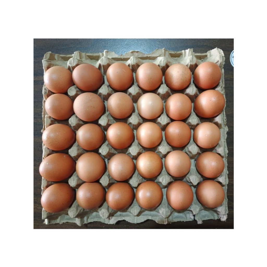 

Telur Ayam Negri isi 30 Butir