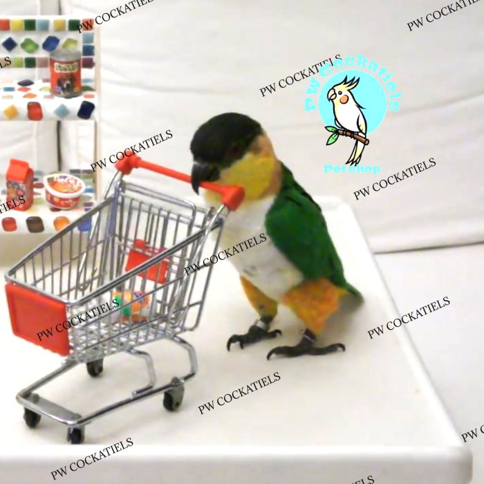 Mainan Trolley Mini Keranjang Supermarket Cart Trolly Kereta Troli