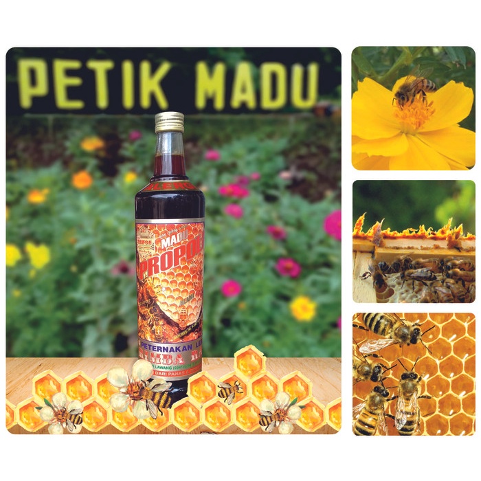

BARANG TERLARIS Madu Propolis Alergi 600 ml