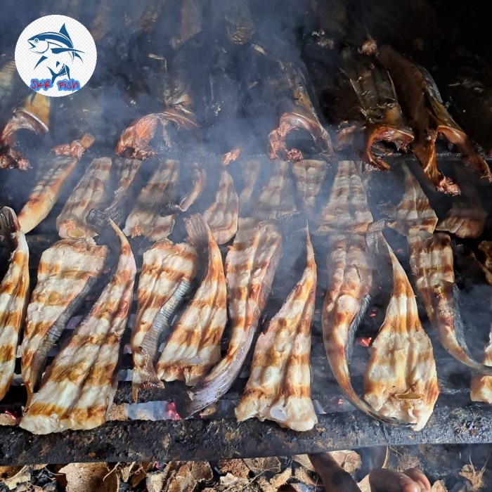 

SALE !!! PARI ASAP - PE ASAP KILOAN TERMURAH READYY