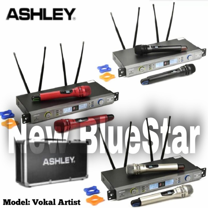 Mic Wireless ASHLEY Vokal Artist Original