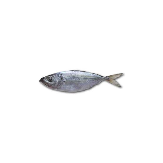 

Ikan Kembung Mata Besar Segar - 500 Gram (Bibik Sayur)