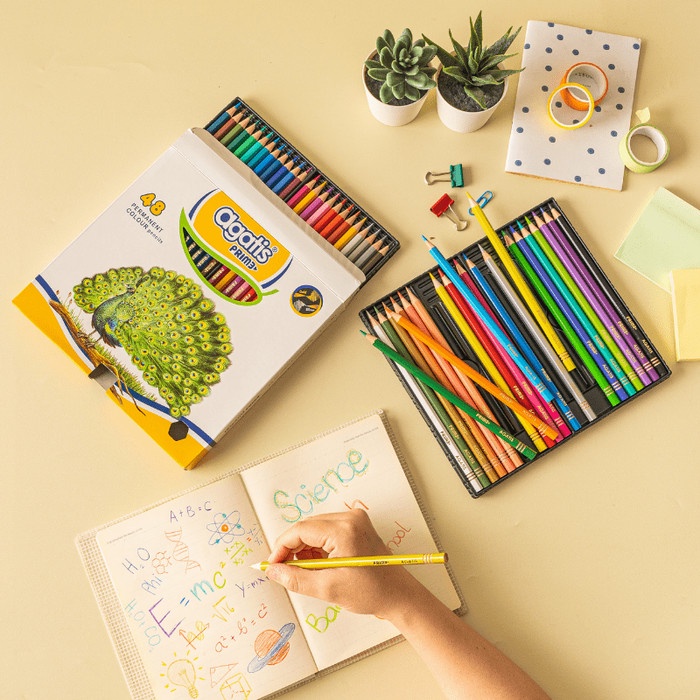 

Agatis Prime Pensil Warna 48 Warna