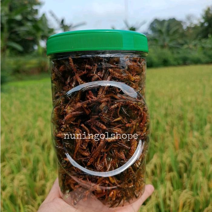 

Belalang goreng kecil kemasan toples sosis Food Foods