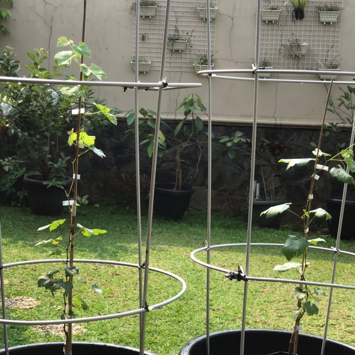 ADT- Pipa Alumunium 0.8 Untuk Tanaman Anggur / Pot Anggur ( Link Pesanan )