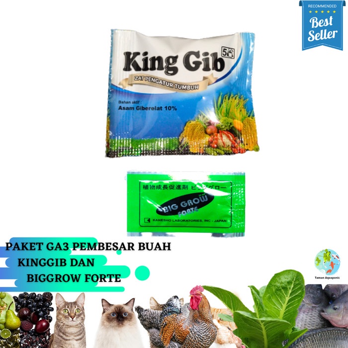 ADT- Paket GA3 Pembesar Buah King Gib dan BigGrow Forte