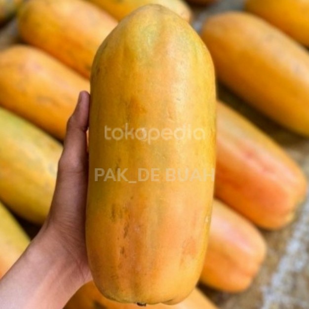 

HJK PEPAYA CALIFORNIA MANIS / 1 PCS