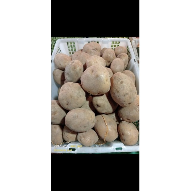 

kentang dieng 1 kg Ab
