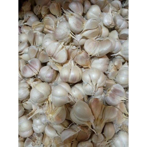 

Bawang Putih Kating Bersih 1kg