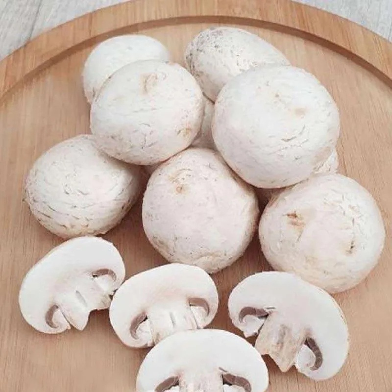 

Jamur Kancing Segar Champignon White Button Mushroom 500 gr