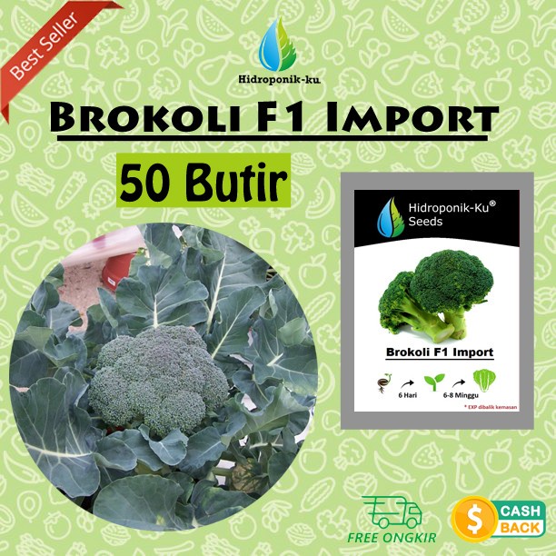 Bibit / Benih Brokoli F1 Import (50 Butir) - Hidroponik Ku