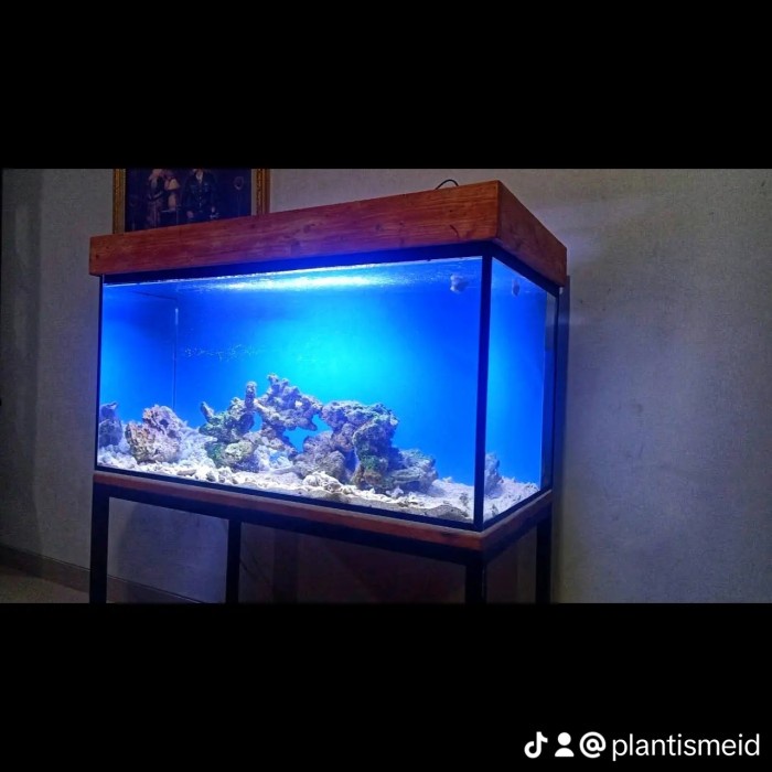 Custom Aquarium Laut Tawar Full Set Filterasi Rak Lampu Meja