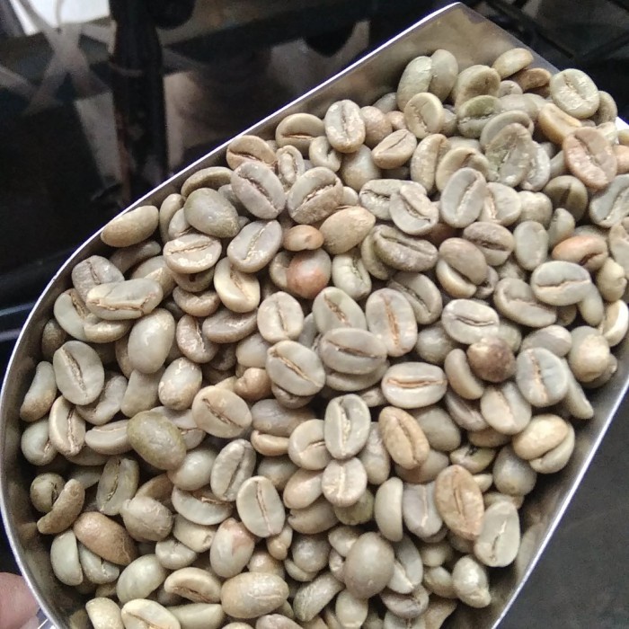 

JH8 Greenbean Arabika Arjuno