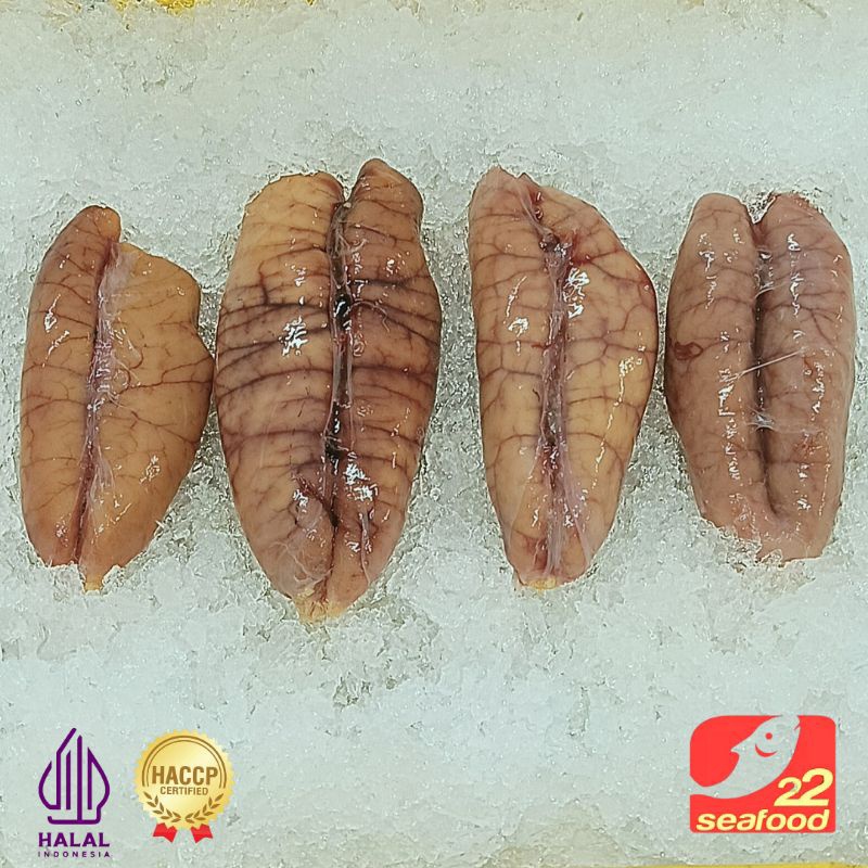 Telur Ikan Gabus Laut 500 Gram / Telur Ikan Cobia Limited / Seafood 22