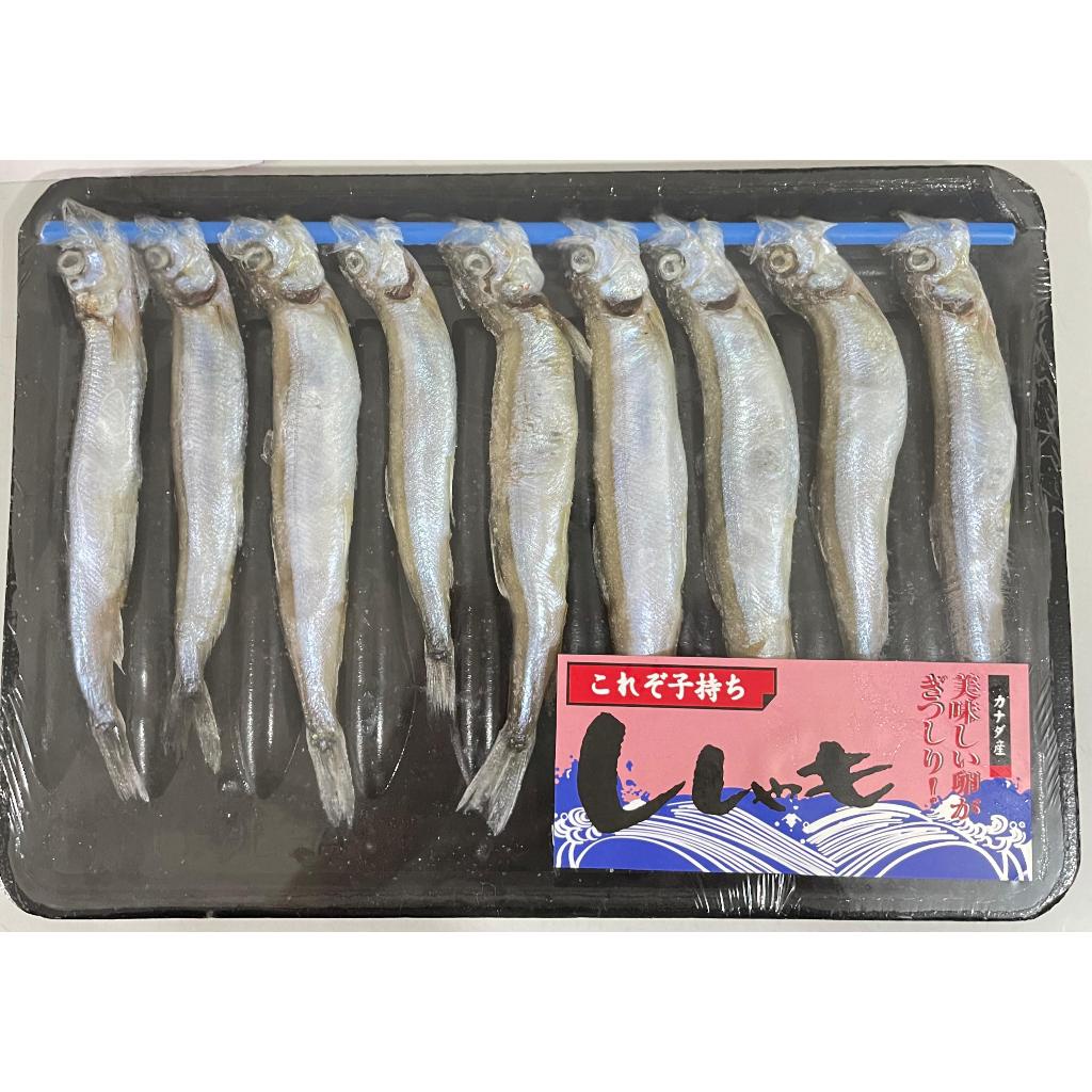 

Shisamo Fish / Capelin Fish Premium