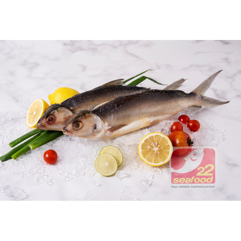

Bandeng Tanpa Duri / Batari / Bandeng Beku / Seafood 22