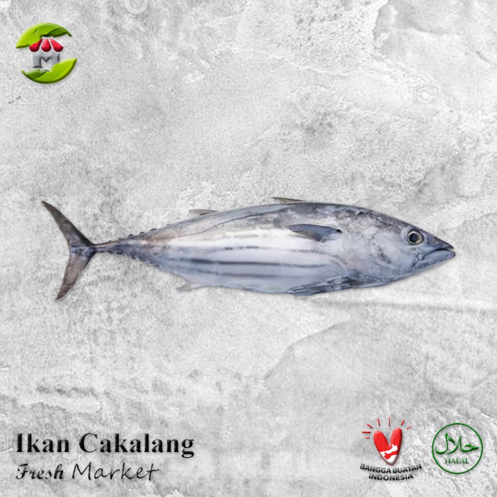 

[JAKTIM] Ikan Cakalang Pack 900gr - 1kg