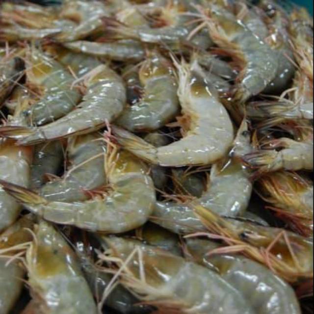 

udang segar 500gr