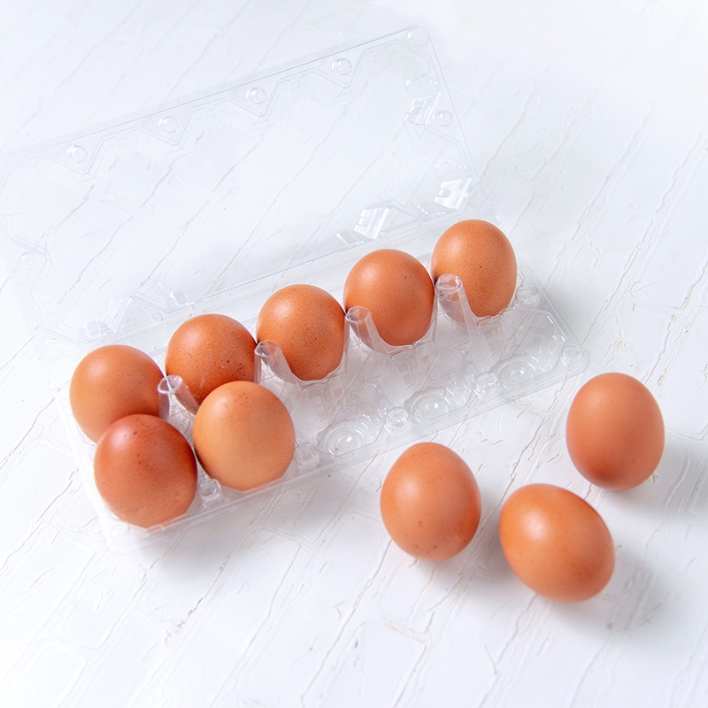 

FCW - Telur Ayam Negeri 10 Butir + Tempat Mika