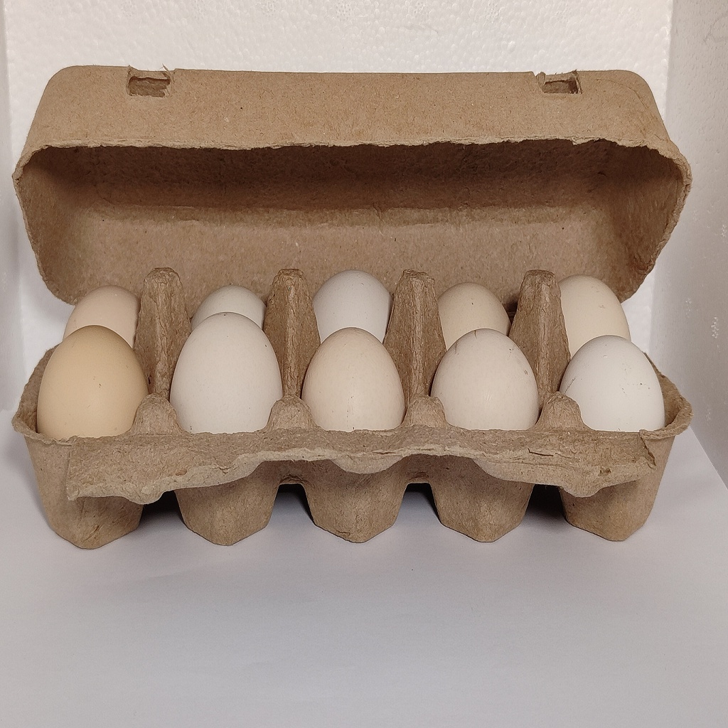 

Telur Ayam Kampung Andalas Omega Free Range isi 10 butir