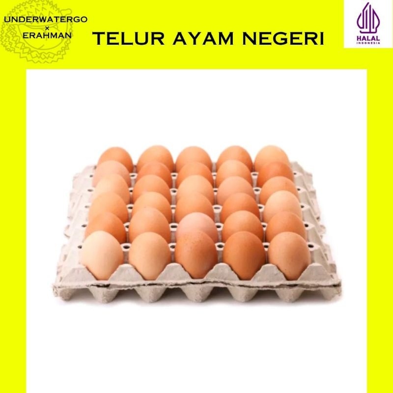 

TELUR AYAM NEGERI PREMIUM 1KG ISI 17 BUTIR TERMURAH
