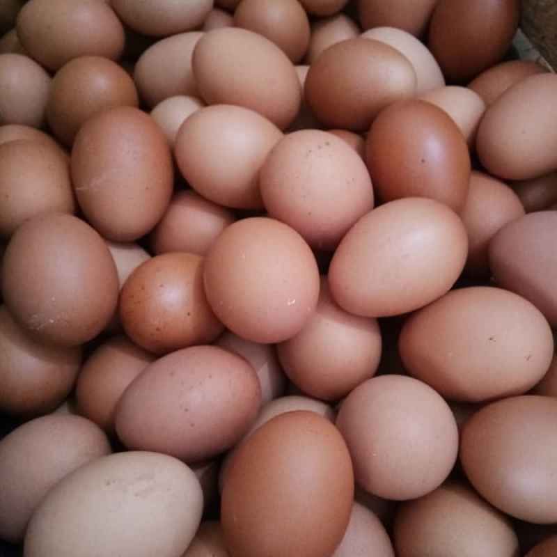 

Telor ayam 1 kg.