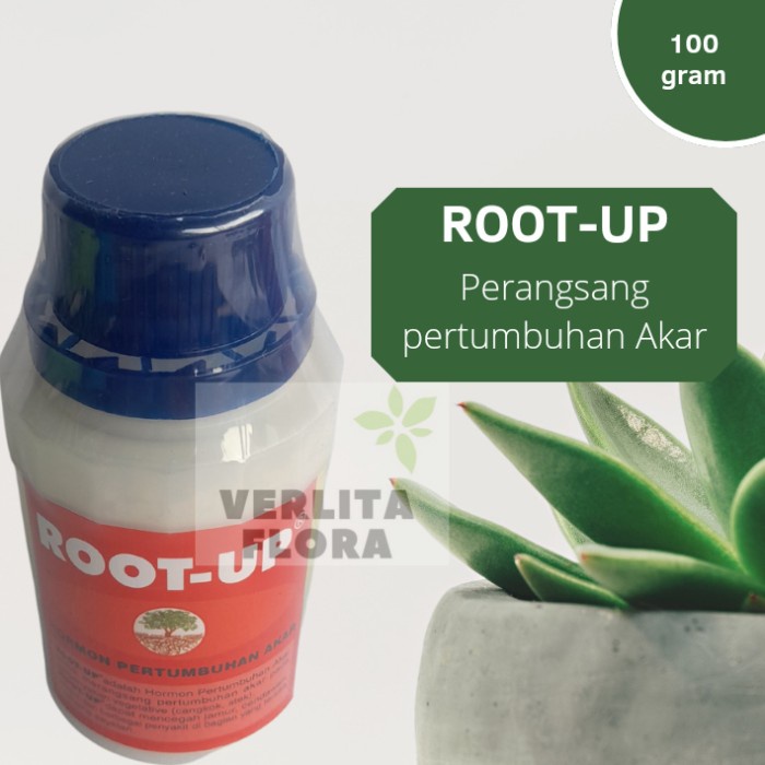 JTTOP" ZPT / PERTUMBUHAN AKAR ROOT UP
